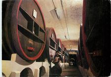 CPM Mumm et Cie Reims Vins de reserve 