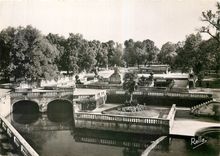 CPM Nimes Gard Le Jradin de la Fontaine 
