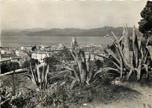 CPM Les Bords de la Riviers Saint Tropez Var Vue generale 