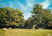 CPM Bonnay S et L Villa Ste Agnes le parc 