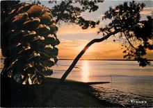 CPM Visage des Landes Coucher de soleil 