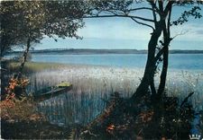 CPM Etang dans la Lande 