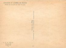 CPM Couleurs et Lumiere de France Massif de bruyere et foret de pins
