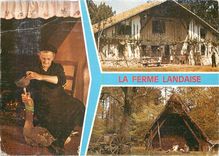 CPM Landes La Femme Landaise La Gaveuse d'Oie La vieille ferme landaise Une vieille bergerie 