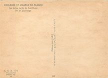 CPM Couleurs et Lumiere de France Les belles forets du Sud Ouest Pin en gemmage