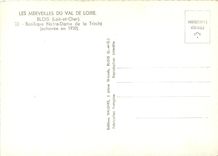 CPM Les Merveilles du Val de Loire Blois Loir et Cher Basilique Notre Dame de la Trinite 