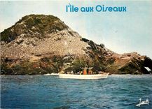 CPM Couleurs de Bretagne La Cote de Granit Rose Vedette en visite a l'ile Rouzic ou nichent des mill