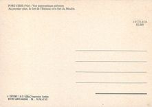 CPM Port Cros Var Vue panoramique aerienne Au premier plan le fort de l'Estissac et le fort du Mouli