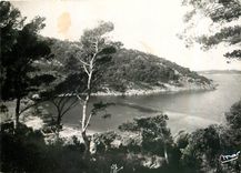 CPM Les Iles d'Or Port Cros Var Un coin de la Baie 