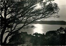 CPM Ile de Port Cros Var Coucher de Soleil 