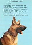 CPM La Priere du Chien 