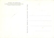 CPM Chateau de Versailles Le Bassin de Neptune pendant les grandes eaux 