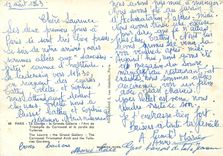 CPM Paris Le Louvre La Grande Galerie l'Arc de Triomphe du Carrousel et le jardin des Tuileries Tour