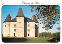 CPM Chateau de Brie Hte Vienne 