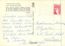CPM Visage des Landes Bouquet de Bruyeres