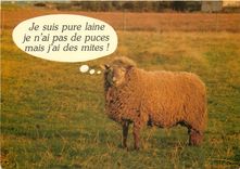 CPM Moutons