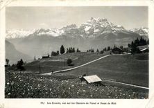 CPM Les Ecovats vue sur les Glaciers du Trient et Dents du Midi 