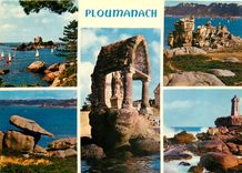 CPM Ploumanach Le chateau de Costaeres 