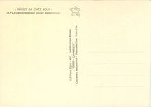 CPM Images de Chez Nous Le petit ramoneur sujet authentique