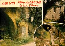 CPM Cereste Alpes de Haute Provence Le Nid d'Amour et l'Abbaye de Carluc 