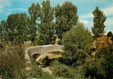 CPM Cereste Alpes de Haute Provence Le Pont Romain 