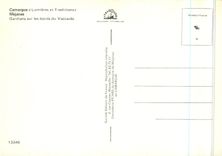 CPM Camargue Lumieres et Traditions Mejanes Chevaux