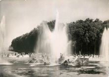 CPM Versailles Parc du Chateau Le Bassin d'Apollon 