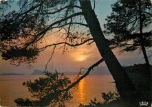 CPM La Ciotat B du R Coucher de soleil sur la Baie dans le lointain le bec de l'Aigle et l'Ile Verte