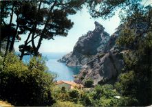 CPM Cote d'Azur La Ciotat B du R 