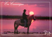 CPM En Camargue Cheval