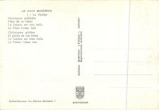 CPM Au Marchois la veillee