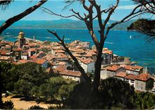 CPM Saint Tropez (Var) vue generale sur le Golf