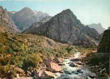 CPM Couleurs et Lumiere de France La corse oasis de Beaute Gorges de l'Asco