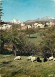 CPM Charmes et Couleurs de la Corse Calacussia (Corse) Vue partielle au fond la Pagilia arba et les 