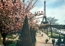 CPM Paris La Tour Eiffel