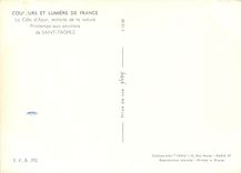 CPM Couleurs et Lumliere de France La Cote d'Azu Miracle de la nature Printemps aux environs de Sain