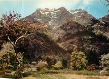 CPM Couleurs et Lumliere de France La Corse oasis de Beaute Vizdzzavona la Monte d'Ore (2391 m)