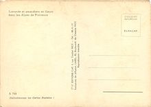 CPM Lavande et amandiers en fleurs dans les Alpes de Provence