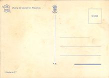 CPM Champ de lavande en Provence