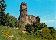 CPM  Chateau de Tournoel (Puy de Dome) ce Chateau appartint au XIIe s au comtes d'Auvergen