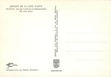 CPM Reflets de la Cote d'Azur sur les bords de la Mediterranee un coin Fleuri