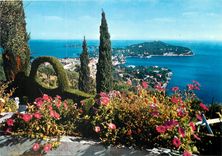 CPM La Cote d'Azur Le Cap Ferrat