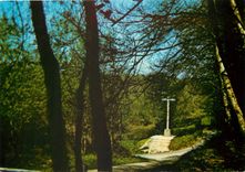 CPM Environs de Bagnoles de l'Orne Saint Ortaire (Orne) La croix sous le soleil d'Avril