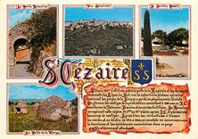 CPM Souvenir de Saint Cezaire sur Siagne (A M) alt 475 m