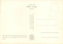 CPM The Upper and Lower Nile gods are Knotting lotus and papyris represenring Upper and Lower Egyt