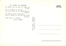 CPM Les Landes de Gascogne Maurice Martin Phare