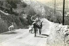 Photo Homme Ane Mule Chevre