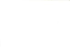 Photo Homme Ane Mule Chevre