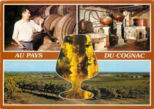 CPM Cognac (Charente) Maitre de Chat et distillerie de Cognac le Vignoble Charentais