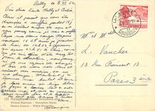 CPM Nymphaeaceae Nymphaea alba 